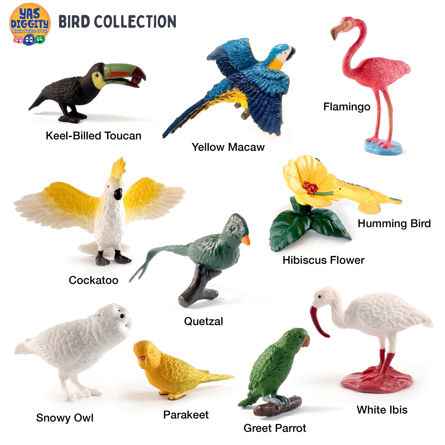 Exotic Bird Diggity Bucket