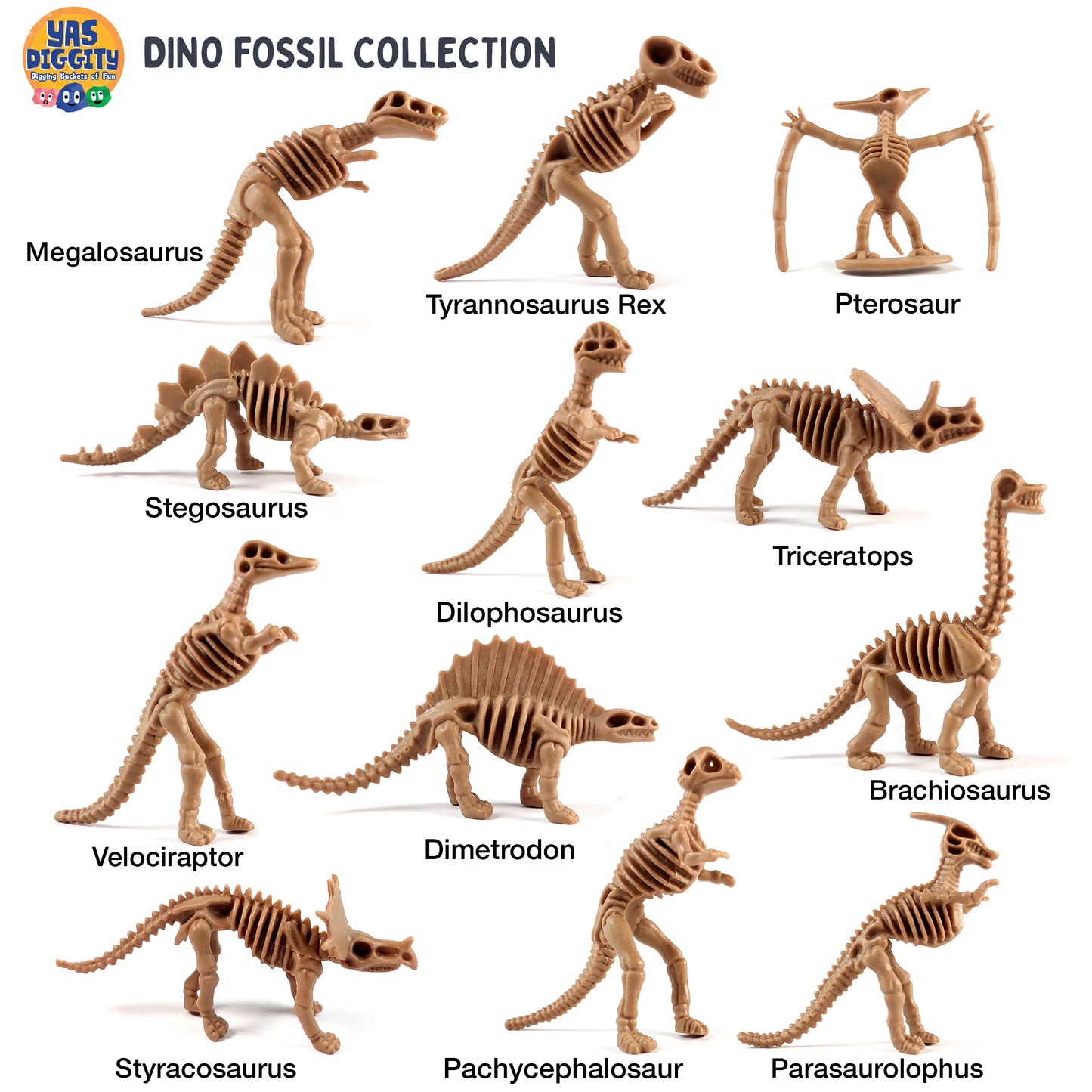 Dino Fossil Toy Collection