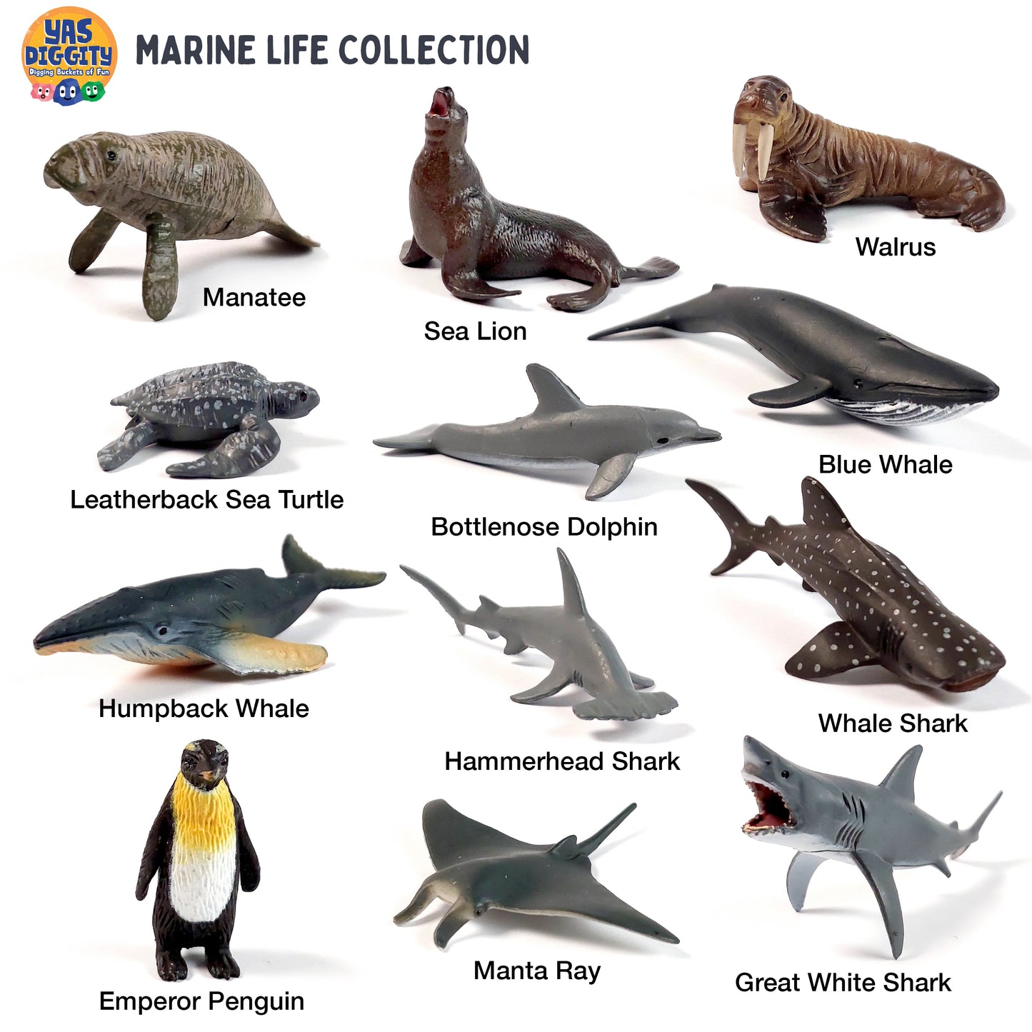 Marine Animal Toy Collection