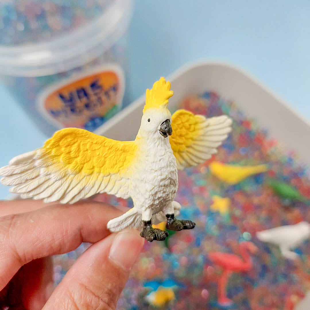 Exotic Bird Diggity Bucket