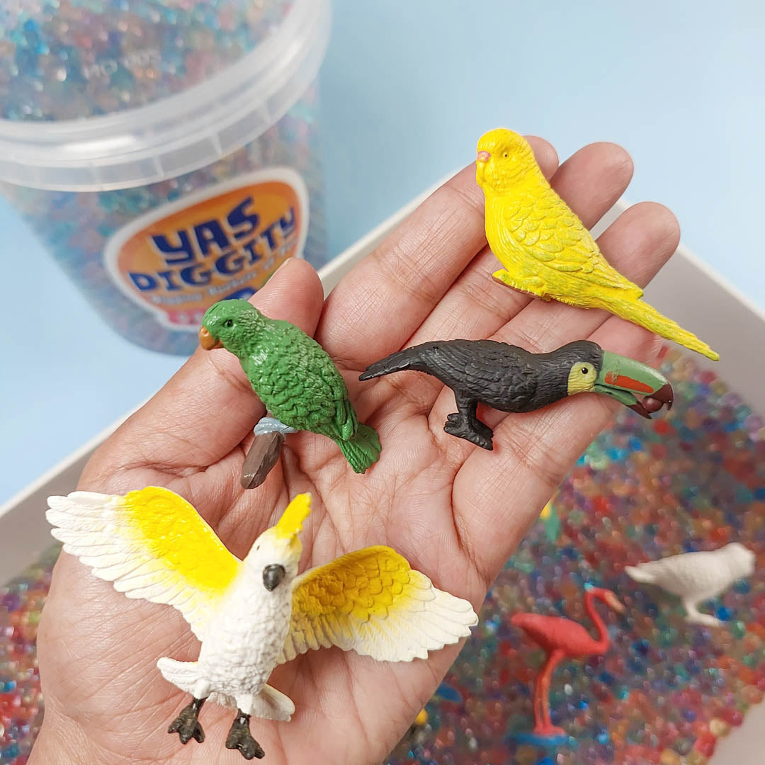 Exotic Bird Diggity Bucket