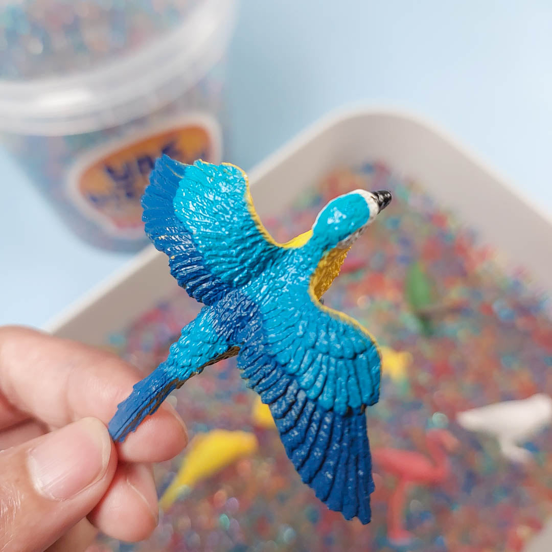 Exotic Bird Diggity Bucket