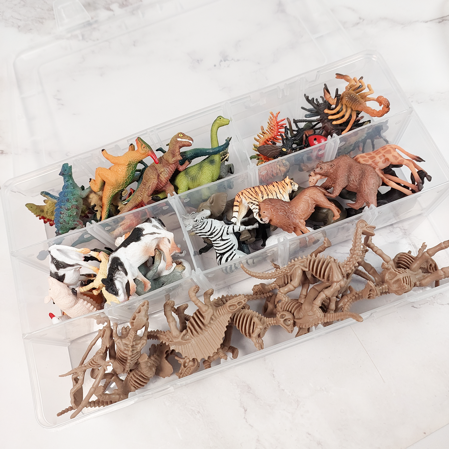 Plastic Storage Box