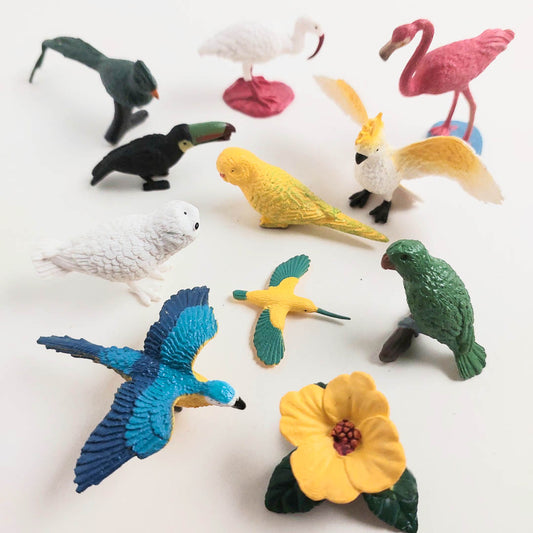 Exotic Bird Toy Collection